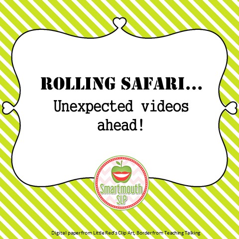 rolling safari blog
